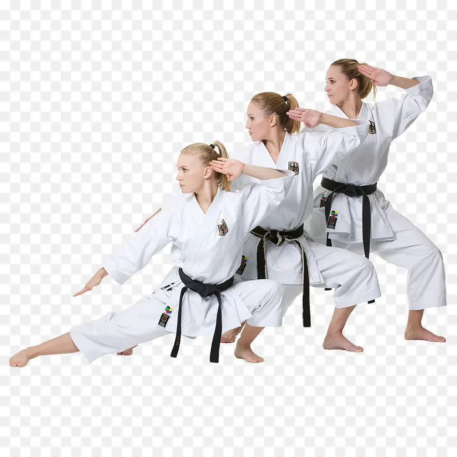 Kata Do Karate，World Karate Federation PNG