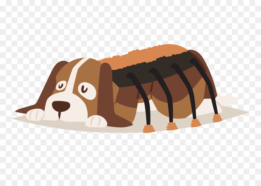 Cachorro，Sapato PNG