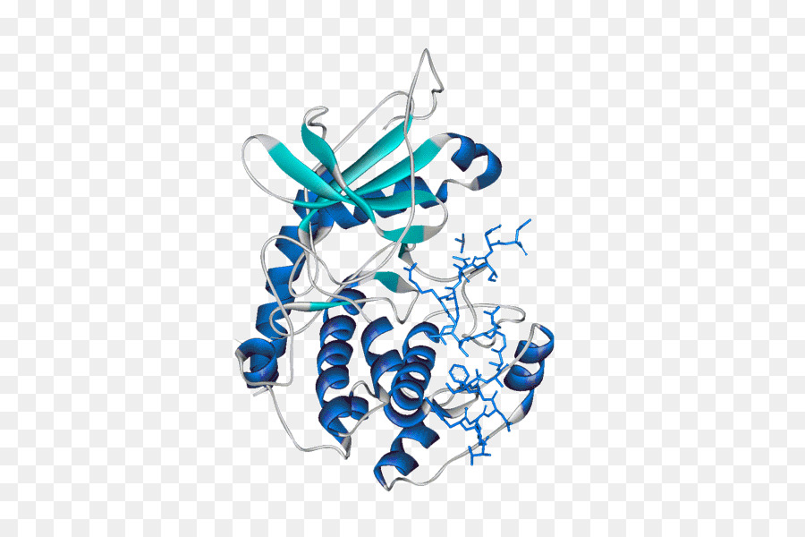 Estrutura Proteica，Molécula PNG