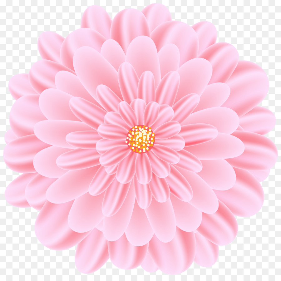 Flor，Rosa PNG