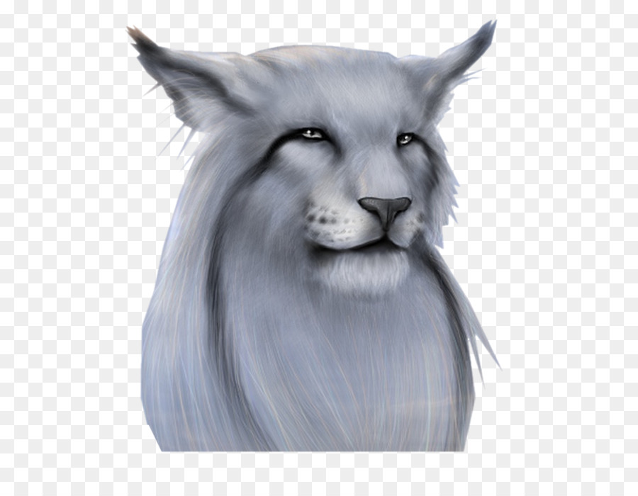 Gato Fantasia，Felino PNG