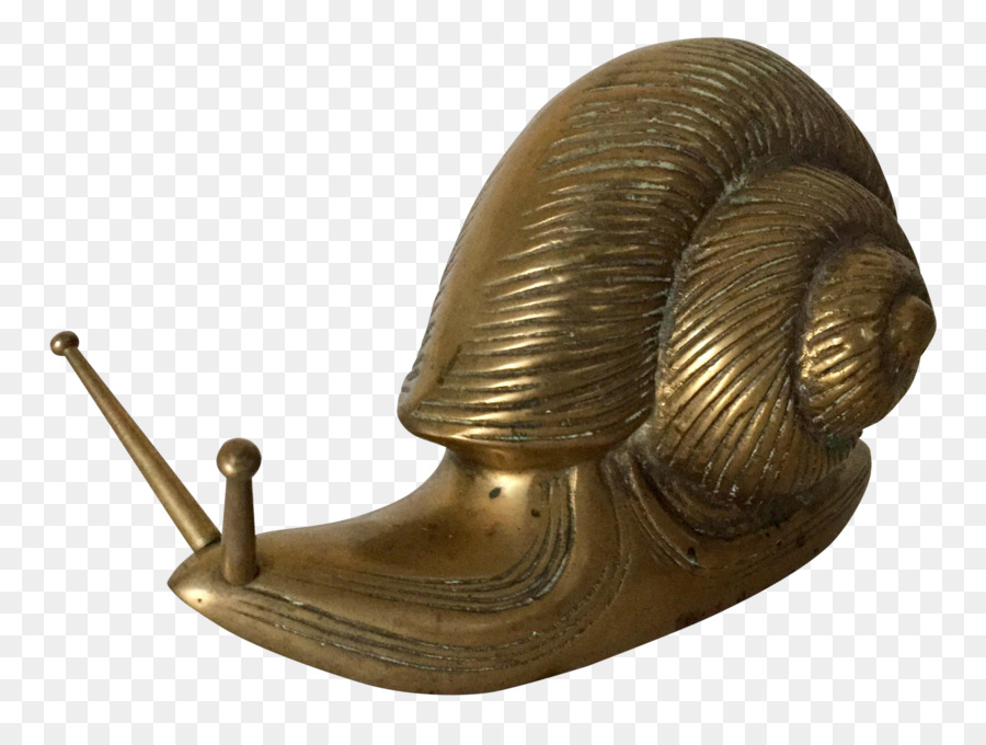 Brass，Caracol PNG