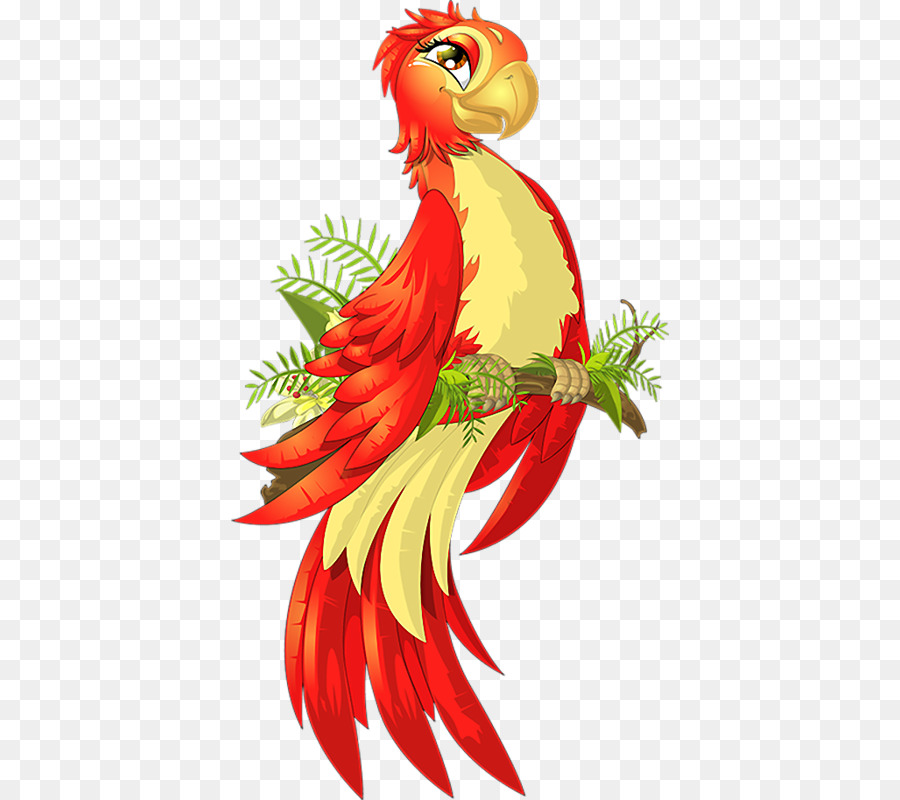 Papagaio，Aves PNG