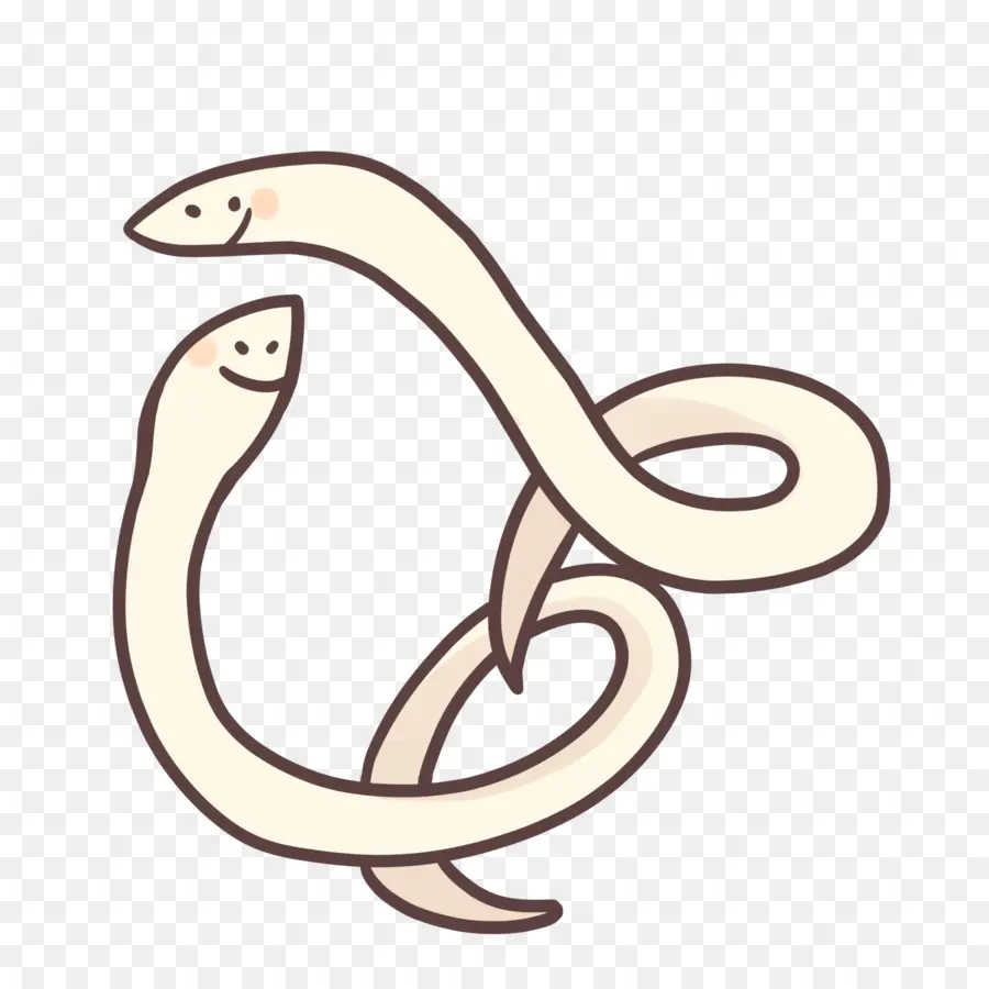 Duas Cobras，Cobras PNG