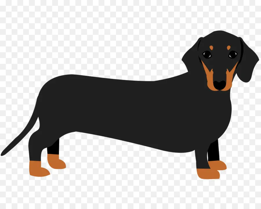 Dachshund Preto，Cachorro PNG