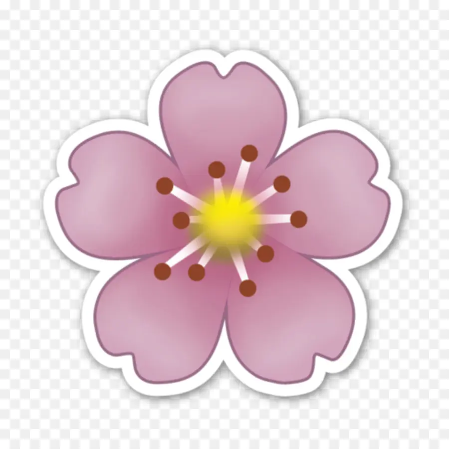 Flor De Cerejeira，Rosa PNG