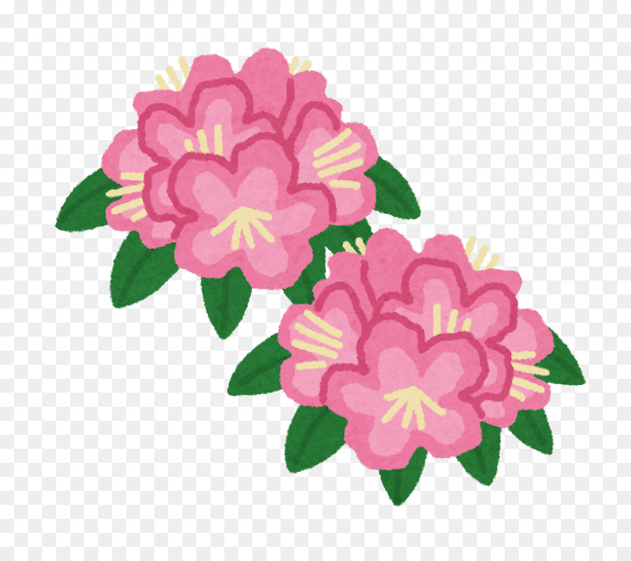 Flor Rosa，Florescer PNG