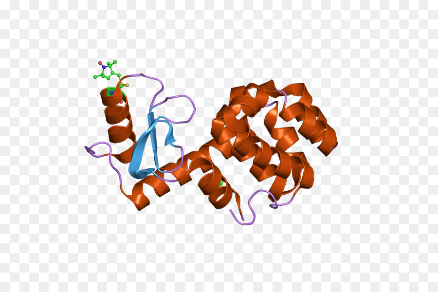 Estrutura Proteica，Molécula PNG