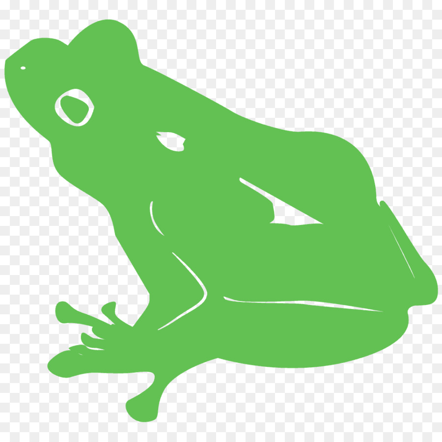 Sapo Verde Dos Desenhos Animados，Animal PNG