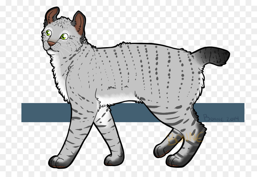 American Shorthair，European Shorthair PNG