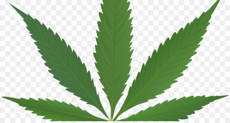 Folha De Cannabis，Maconha PNG