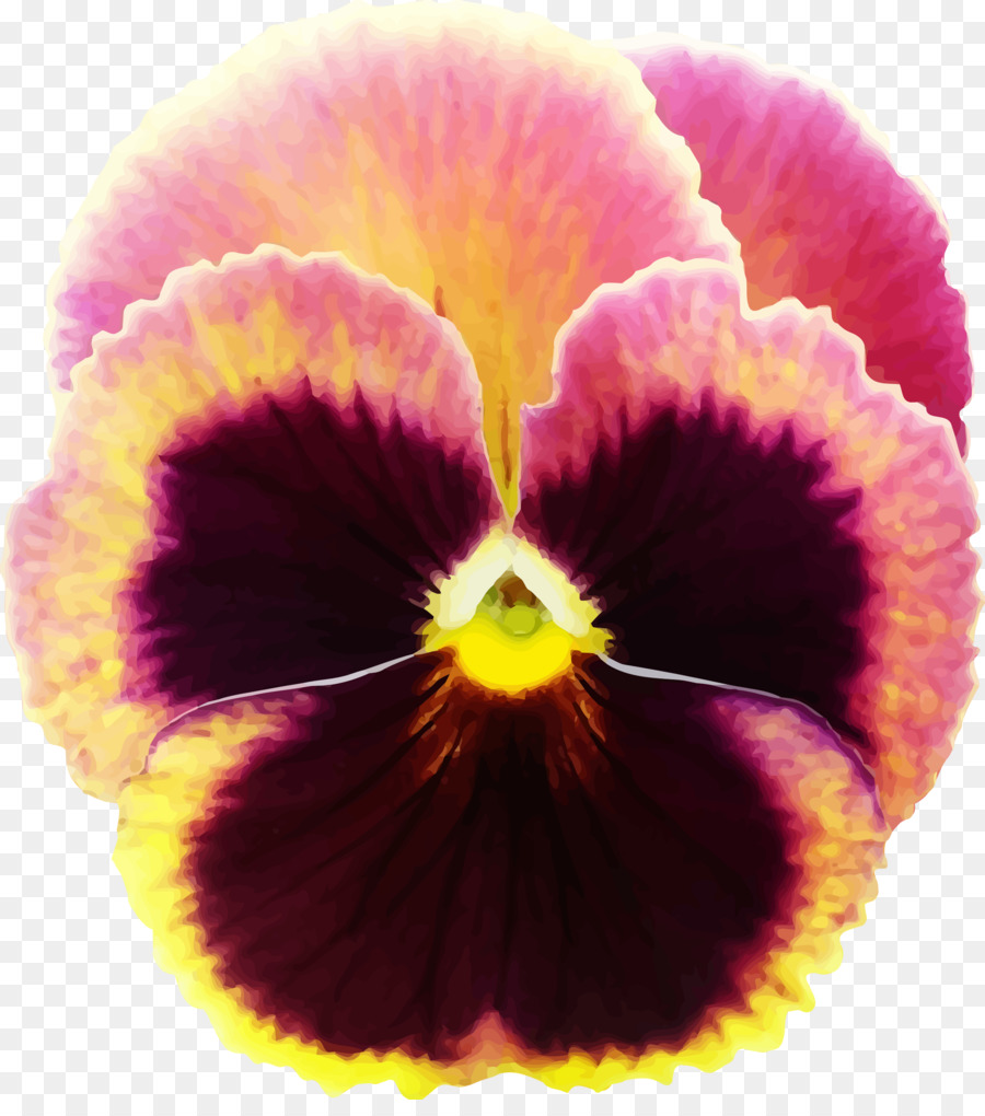 Pansy，Design Floral PNG