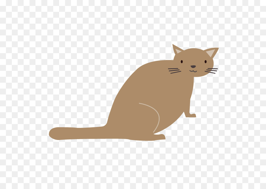 Gato，Bigodes PNG