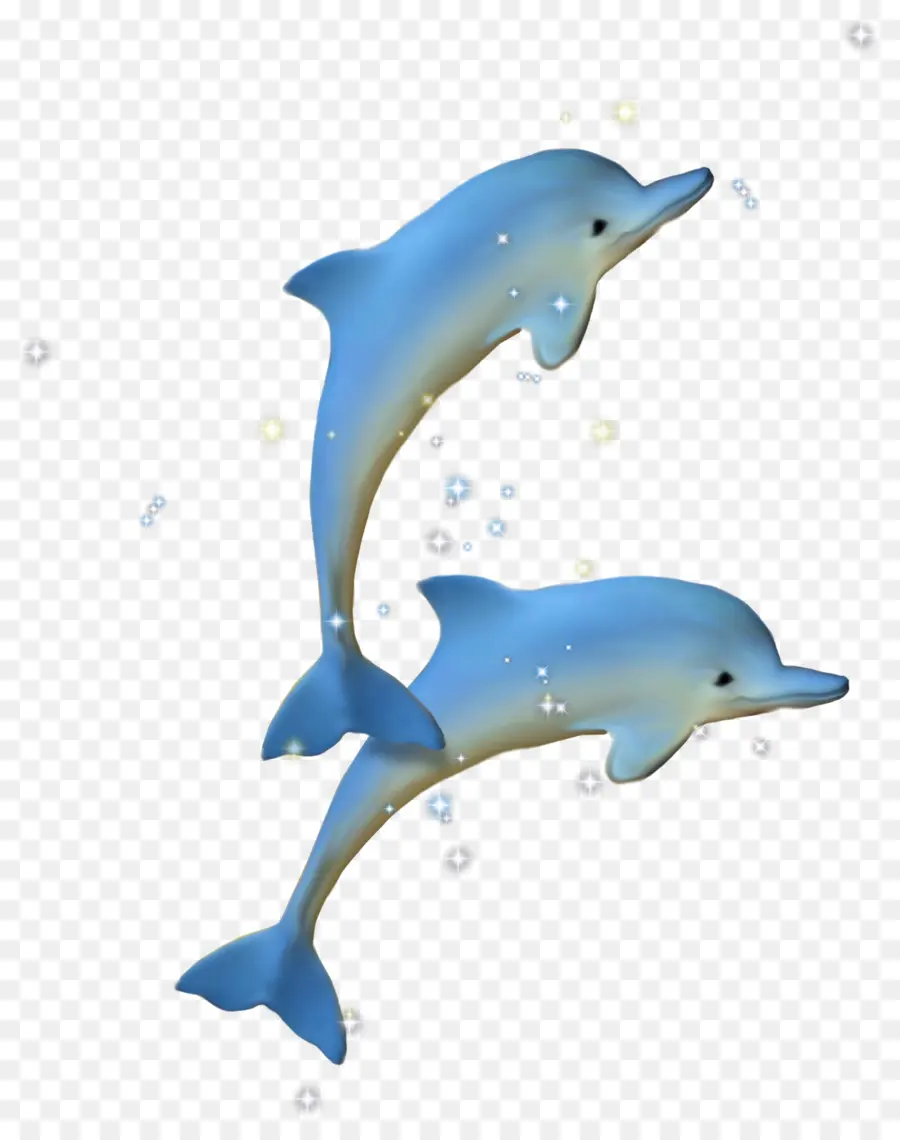 Dolphin，Desenho PNG