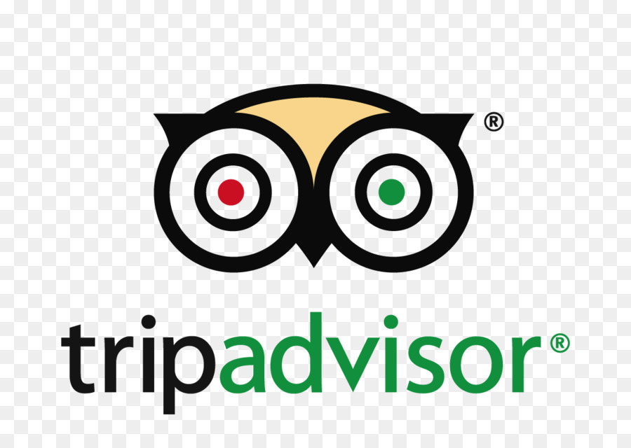 Logotipo Do Tripadvisor，Coruja PNG