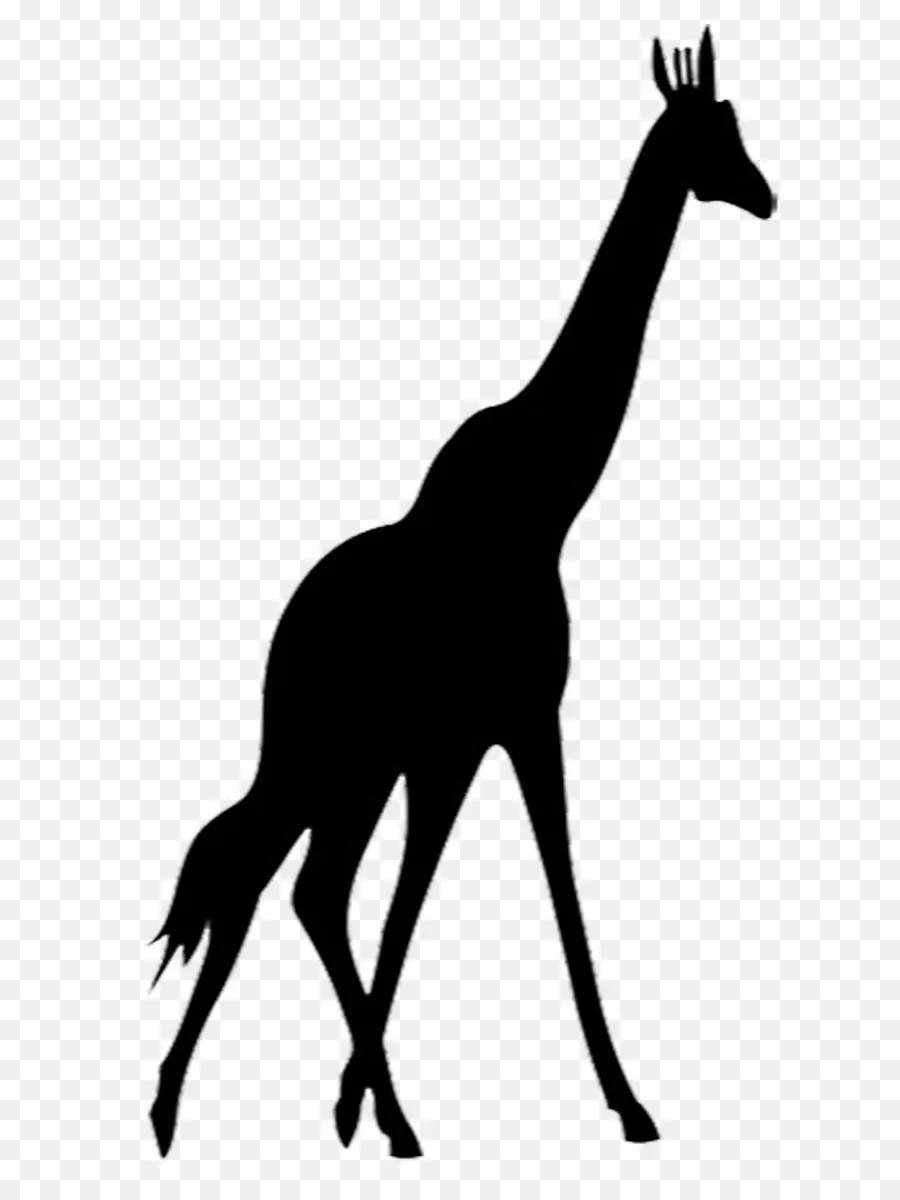 Girafa，Silhuetas De Animais PNG