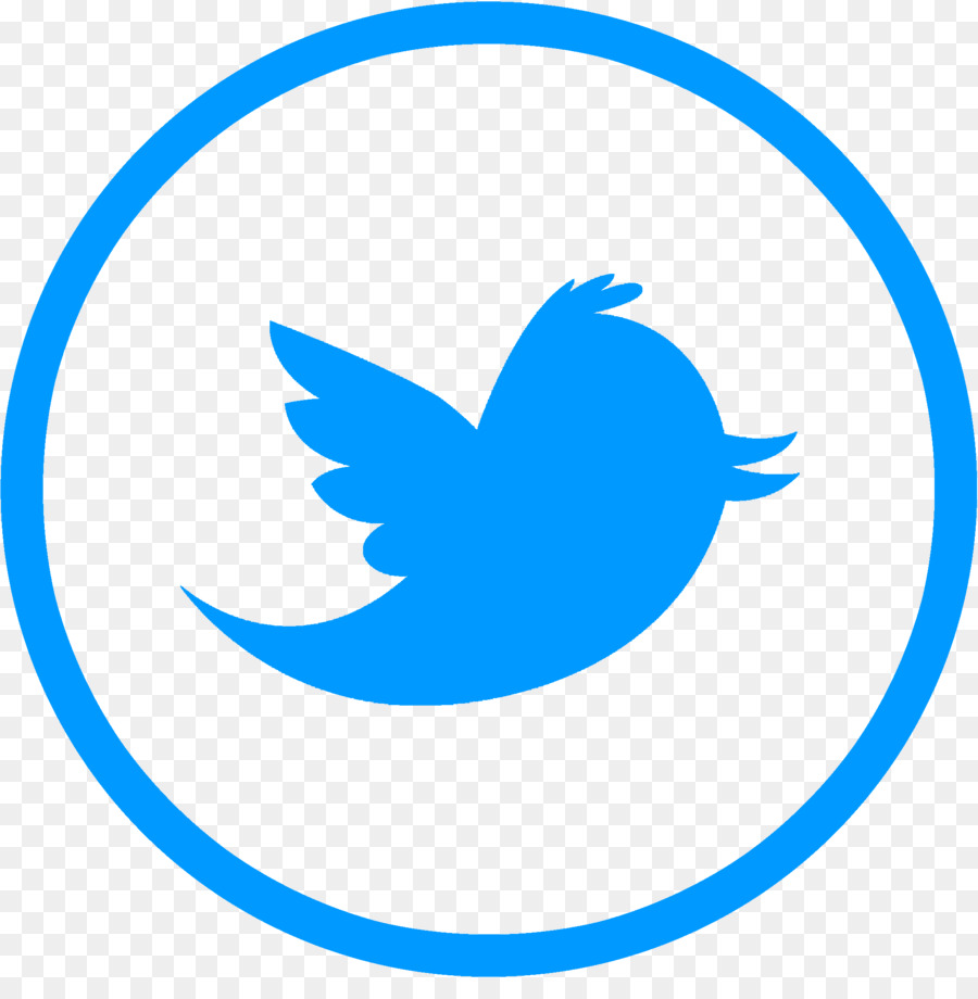 Logotipo Do Twitter，Pássaro PNG