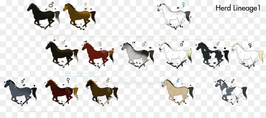 Mustang，Cachorro PNG
