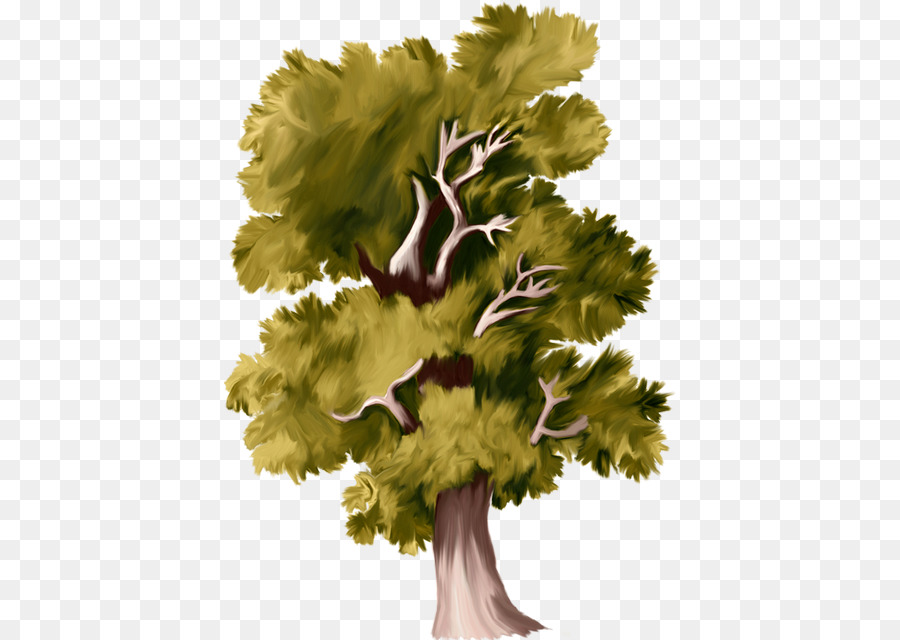 árvore，Folha PNG