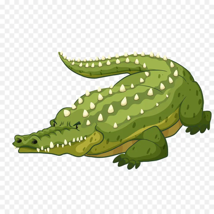 Jacarés，Crocodilo PNG