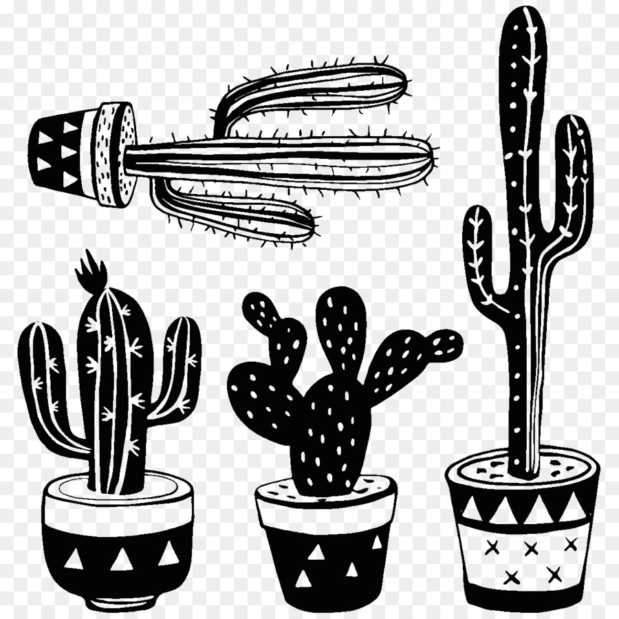 Cactus, Desenho, Saguaro png transparente grátis