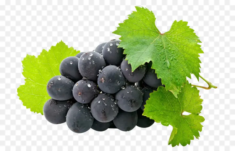 Uvas Pretas，Videira PNG