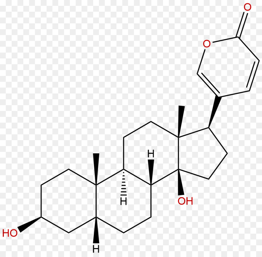 Cholic ácido，ácidos Biliares PNG