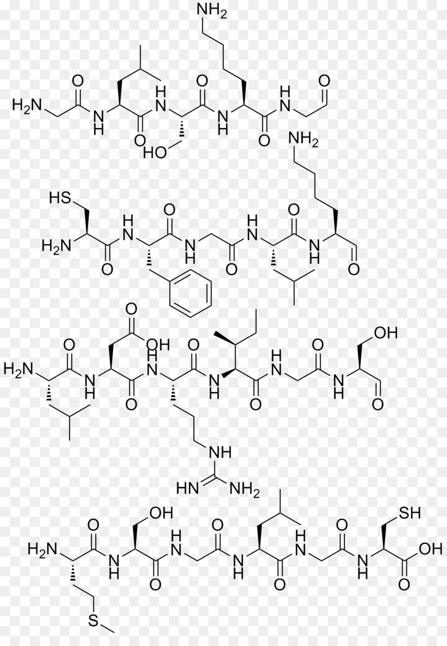 Estrutura Química，Molécula PNG