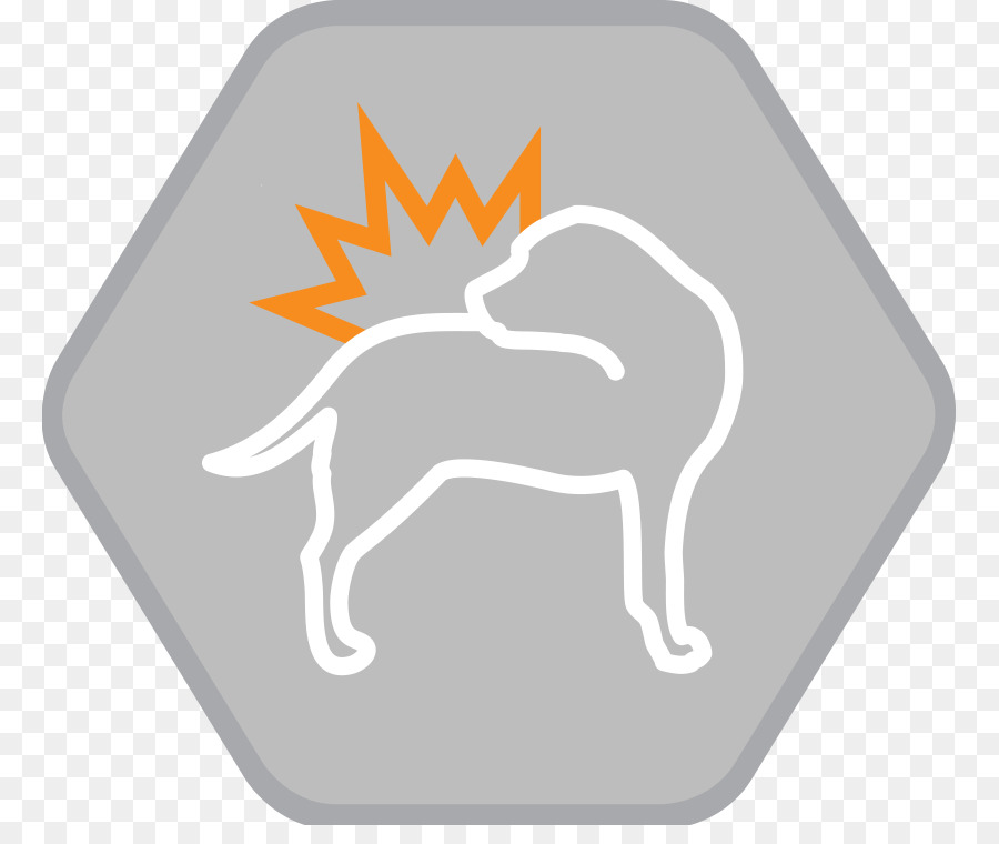 Canidae，Cachorro PNG