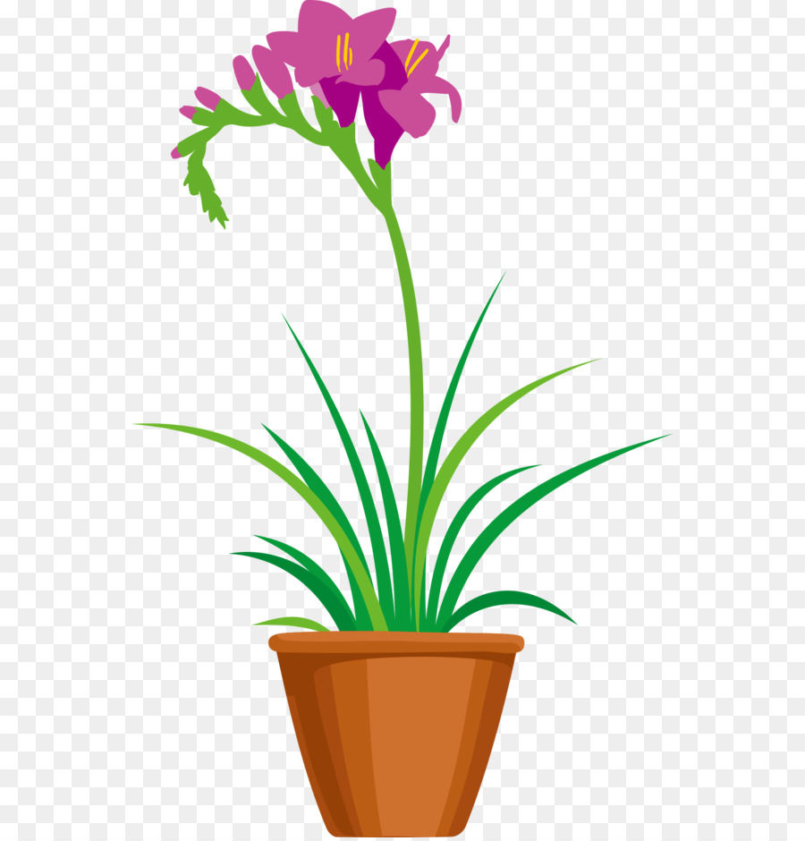 Planta Em Vaso，Flor PNG