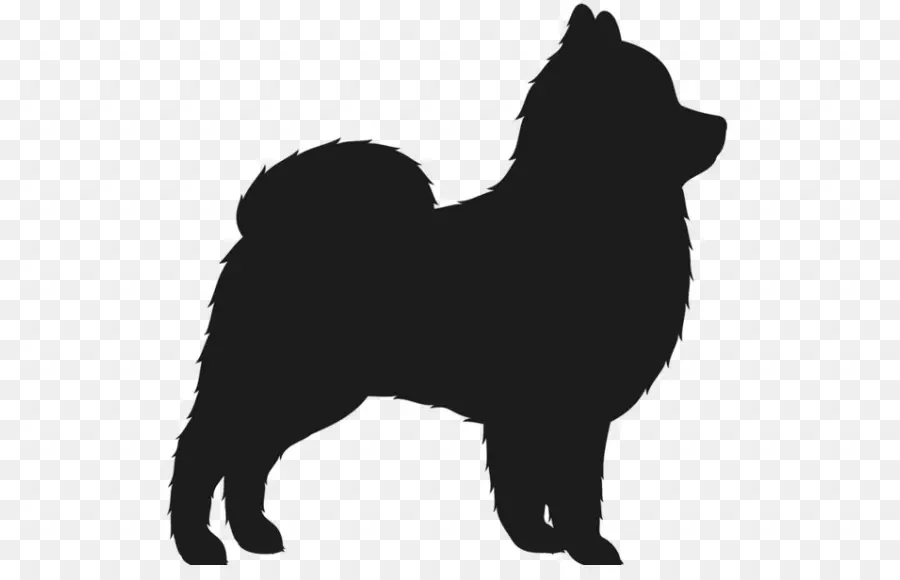 Pomeranian，Spitz Finlandês PNG