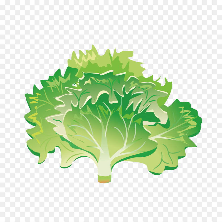 Brócolis，Verde PNG