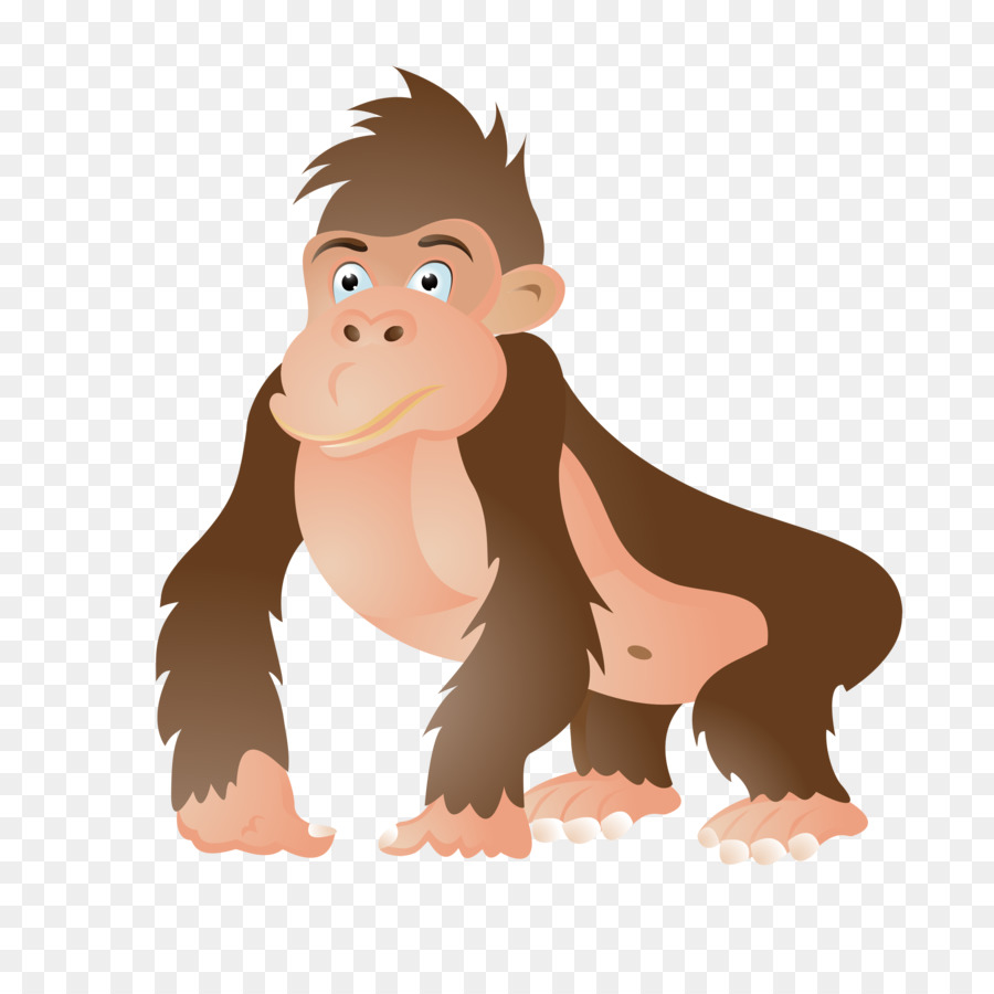 Ape，Gorila Ocidental PNG