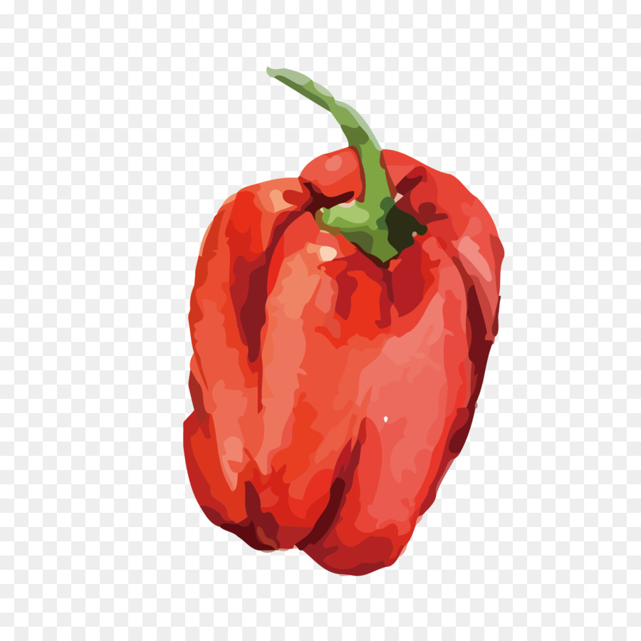 Chili Pepper，Vegetal PNG