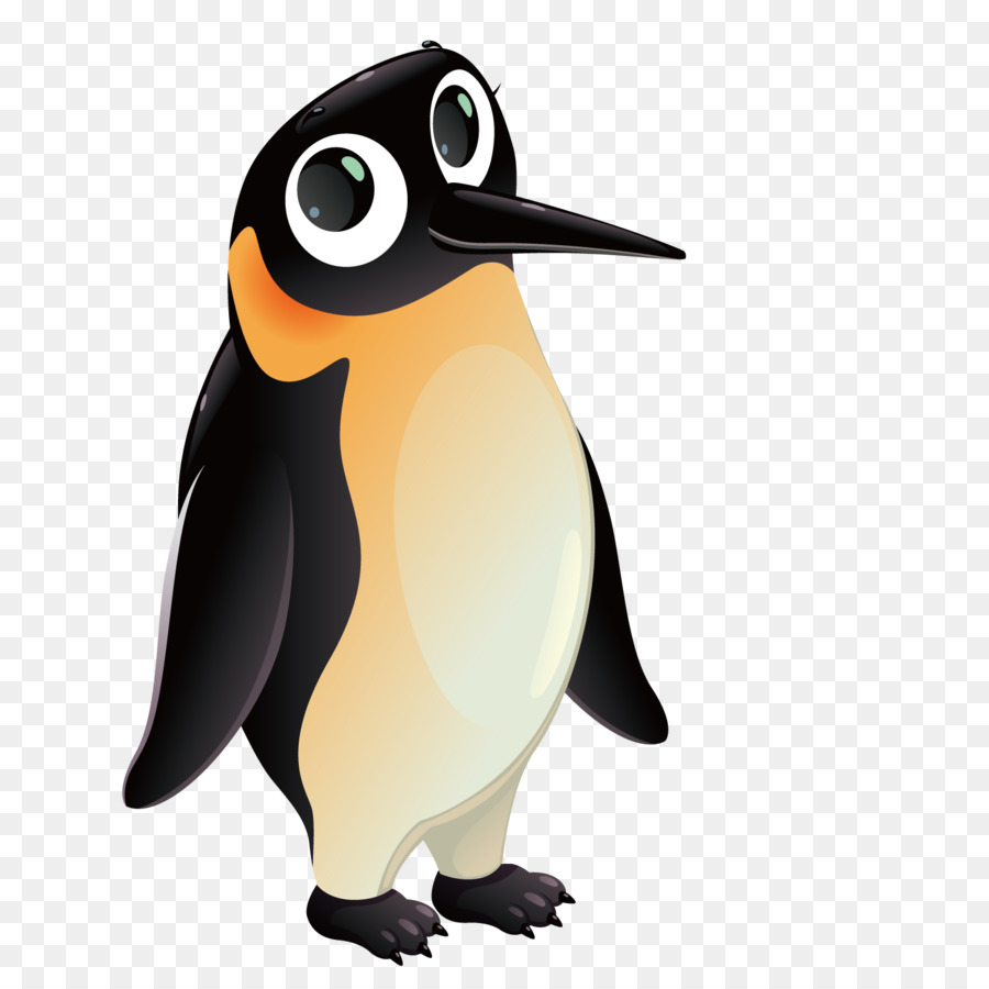 Penguin，Urso Polar PNG