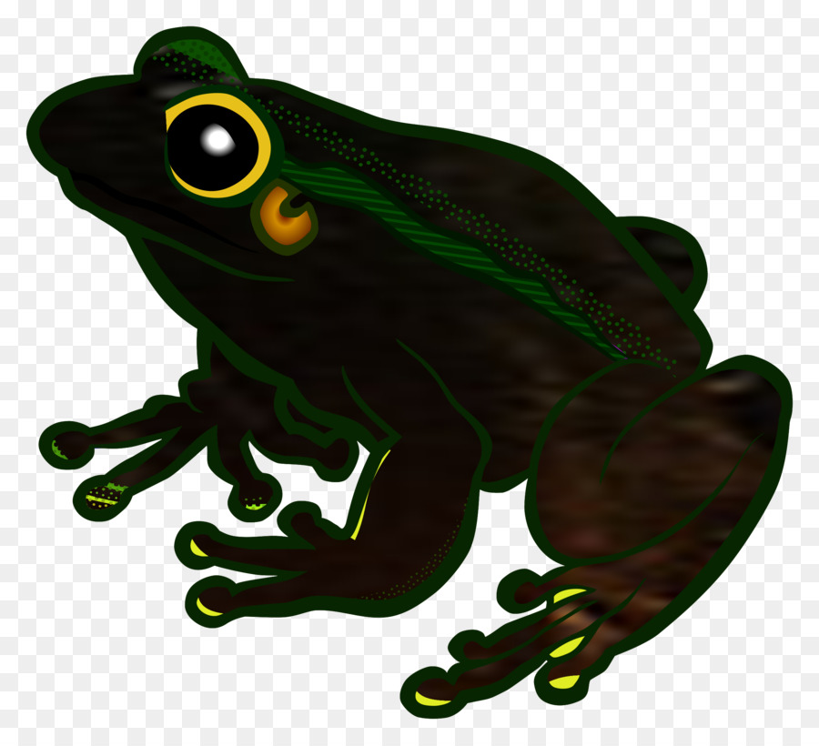 Sapo Verde，Sapo PNG