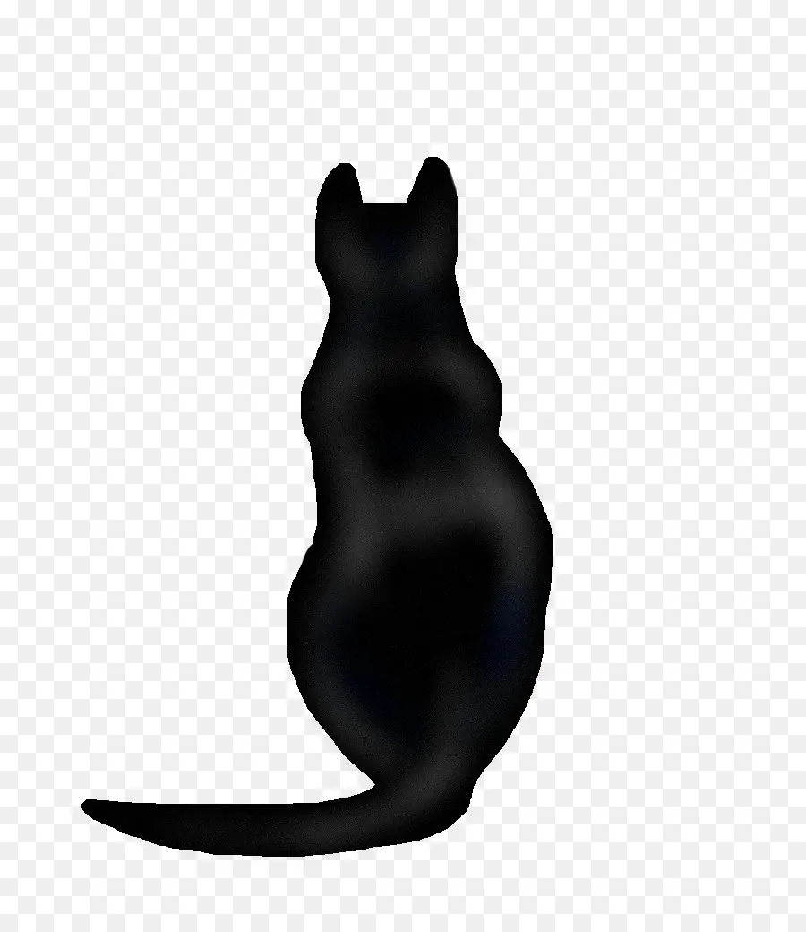 Gato Preto，Animal PNG