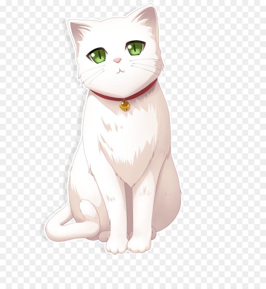 Gato Branco，Gato PNG