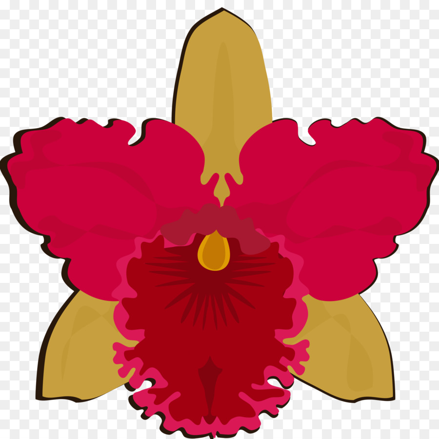 Traça Orquídeas，A Floração Da Planta PNG