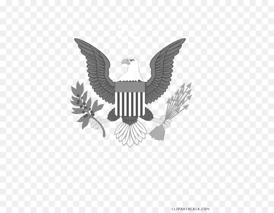 águia Careca，Estados Unidos Da América PNG