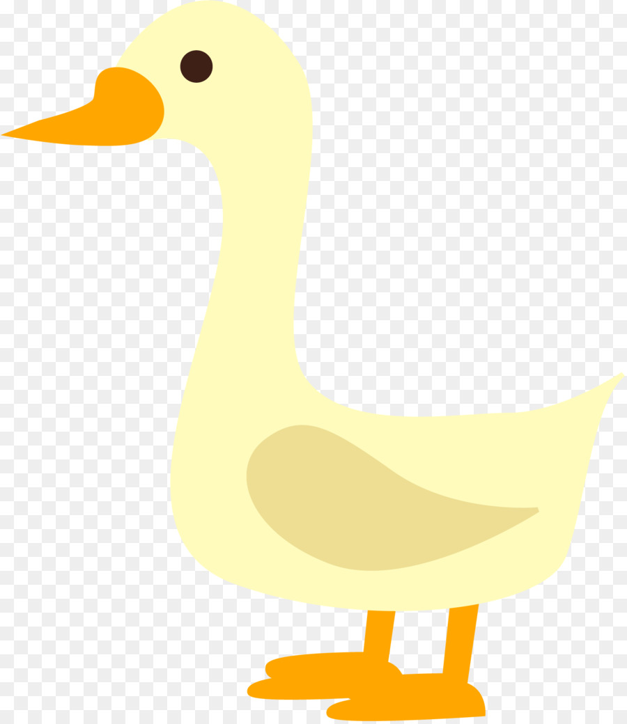 Pato，Pássaro PNG