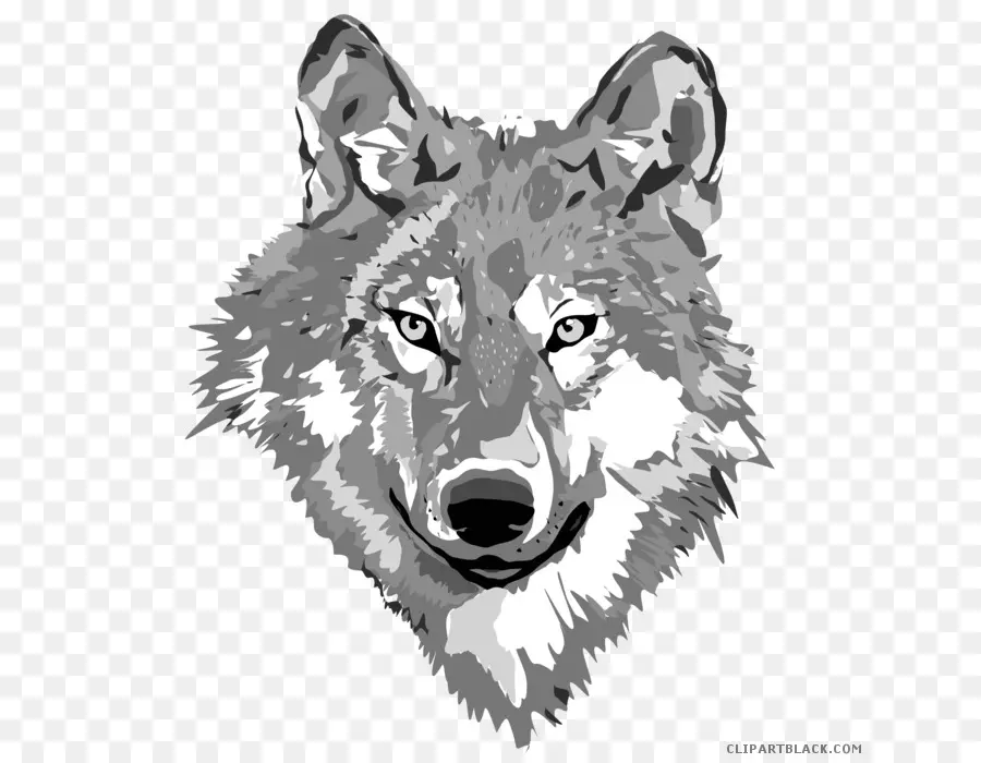 Tshirt，Lobo PNG