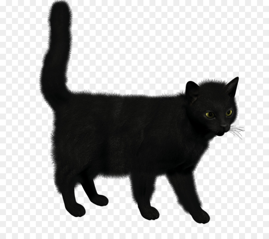 Gato Preto，Pelagem PNG