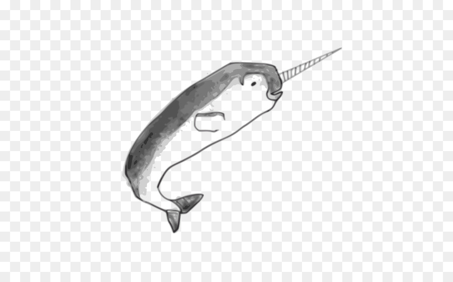 Narwhal，Baleias Dentadas PNG