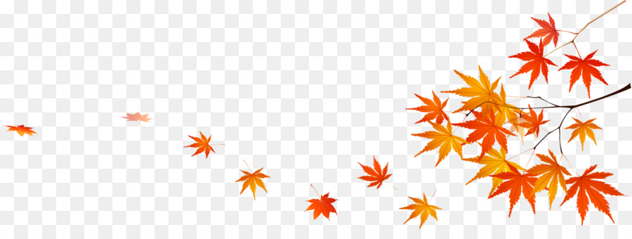 Folha，Maple Leaf PNG