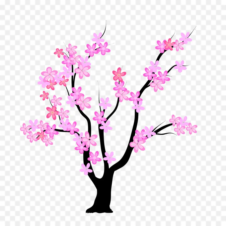 árvore，Blossom PNG
