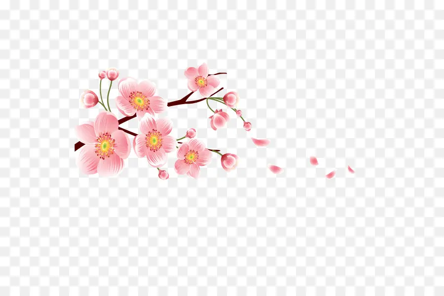 Blossom，Flor PNG