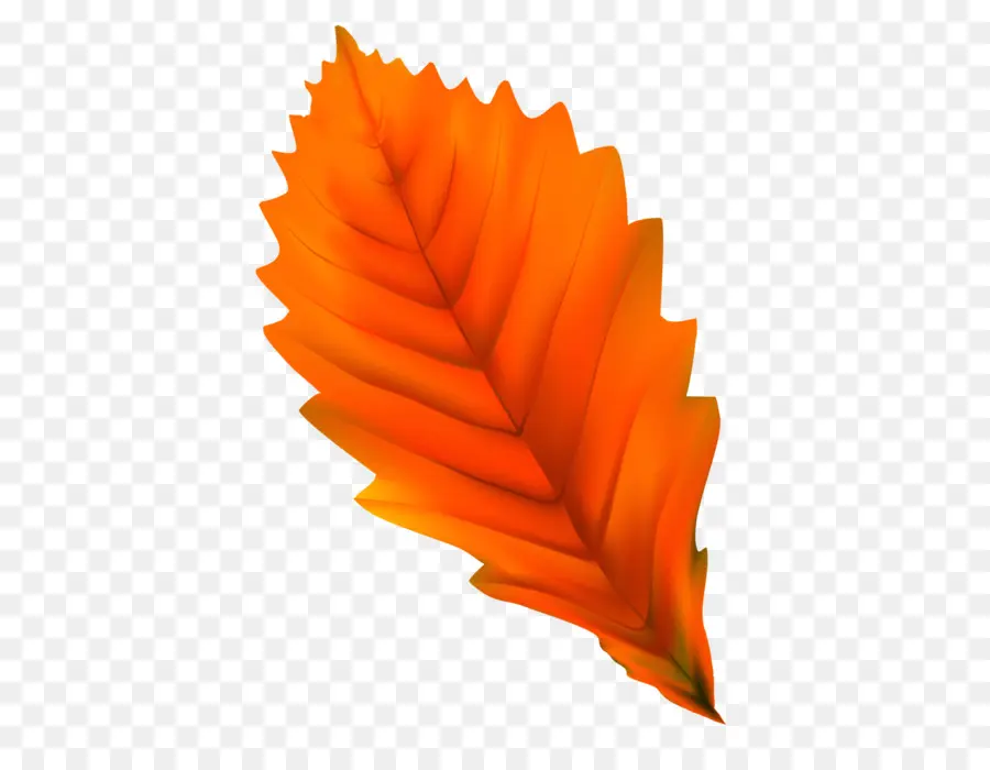 Folha Laranja，Outono PNG