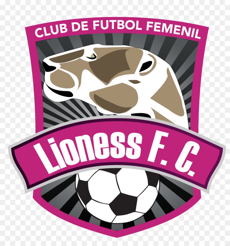 Leoa Fc Metepec，Futebol PNG