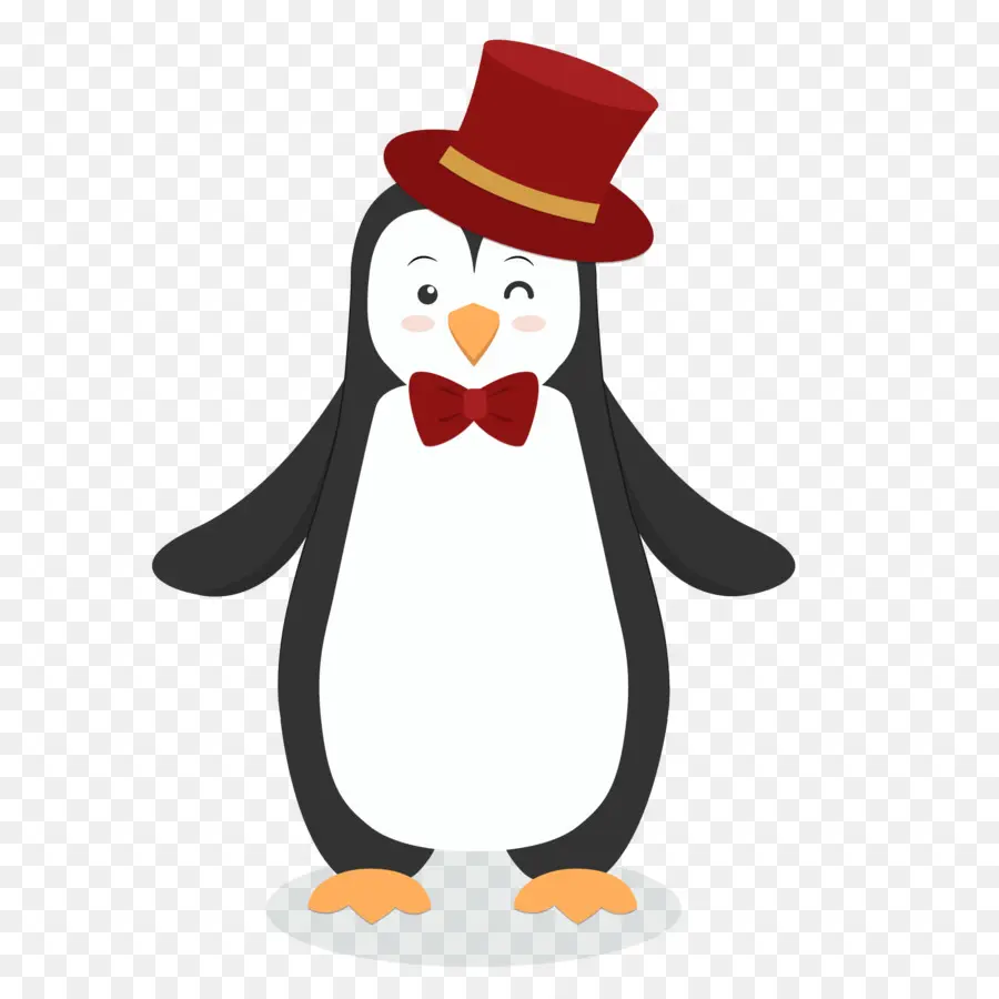 Penguin，Cartoon PNG